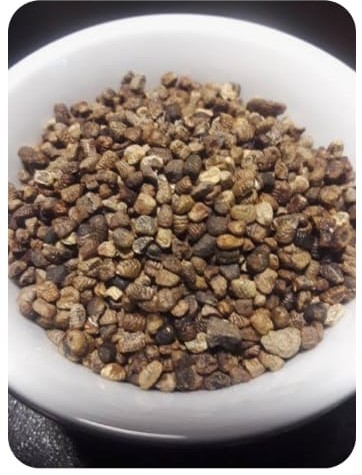 Black Cardamom